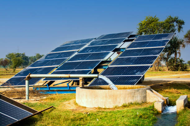 Solar Power Companies in Rocklin What You Need to Know